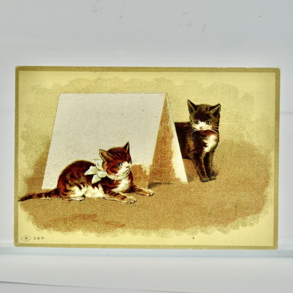 J G Woodland & Co Printers St Paul MN Victorian Trading Card